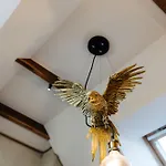 Nolcken Lagerhaus *